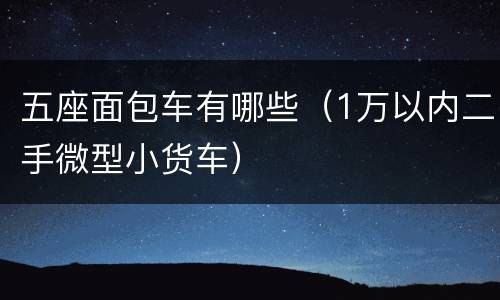 五座面包车有哪些（1万以内二手微型小货车）