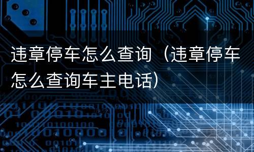 违章停车怎么查询（违章停车怎么查询车主电话）