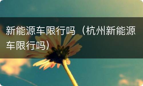 新能源车限行吗（杭州新能源车限行吗）