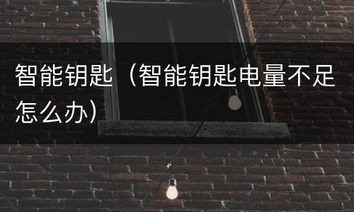 智能钥匙（智能钥匙电量不足怎么办）