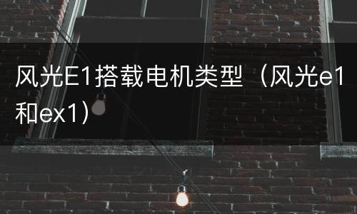 风光E1搭载电机类型（风光e1和ex1）