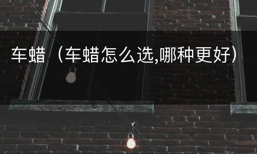 车蜡（车蜡怎么选,哪种更好）