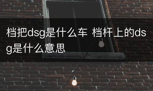 档把dsg是什么车 档杆上的dsg是什么意思