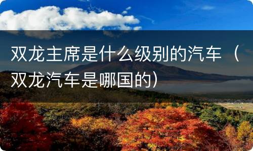 双龙主席是什么级别的汽车（双龙汽车是哪国的）