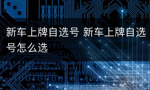 新车上牌自选号 新车上牌自选号怎么选