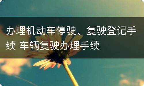 办理机动车停驶、复驶登记手续 车辆复驶办理手续