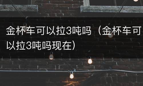 金杯车可以拉3吨吗（金杯车可以拉3吨吗现在）
