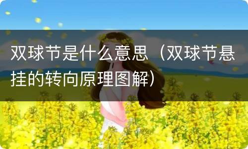 双球节是什么意思（双球节悬挂的转向原理图解）
