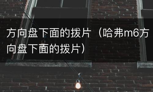 方向盘下面的拨片（哈弗m6方向盘下面的拨片）