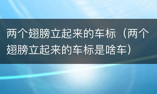 两个翅膀立起来的车标（两个翅膀立起来的车标是啥车）