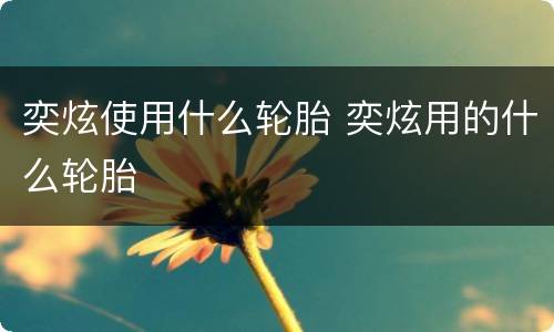 奕炫使用什么轮胎 奕炫用的什么轮胎