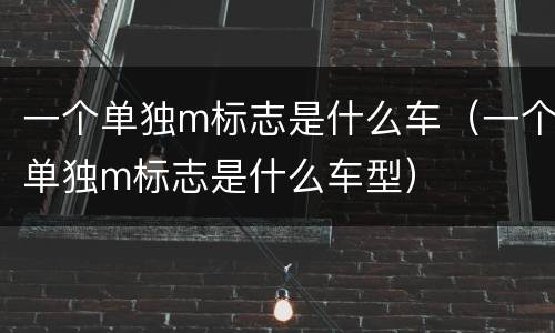 一个单独m标志是什么车（一个单独m标志是什么车型）