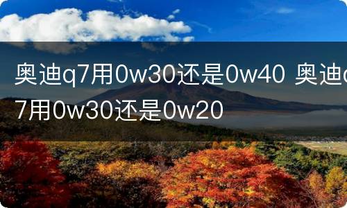 奥迪q7用0w30还是0w40 奥迪q7用0w30还是0w20