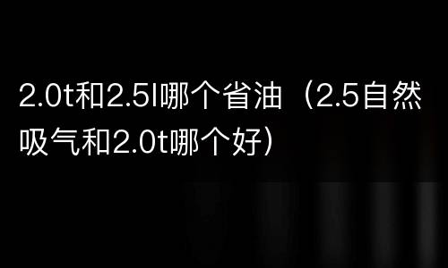 2.0t和2.5l哪个省油（2.5自然吸气和2.0t哪个好）