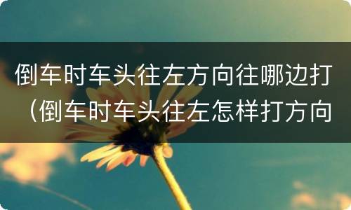 倒车时车头往左方向往哪边打（倒车时车头往左怎样打方向盘）