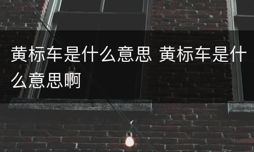 黄标车是什么意思 黄标车是什么意思啊