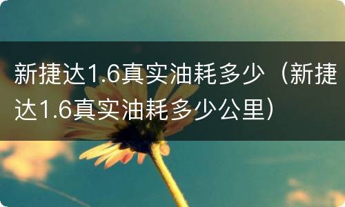 新捷达1.6真实油耗多少（新捷达1.6真实油耗多少公里）