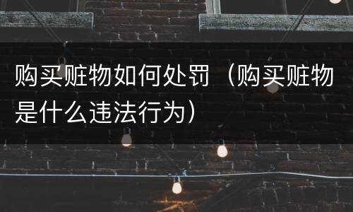 购买赃物如何处罚（购买赃物是什么违法行为）