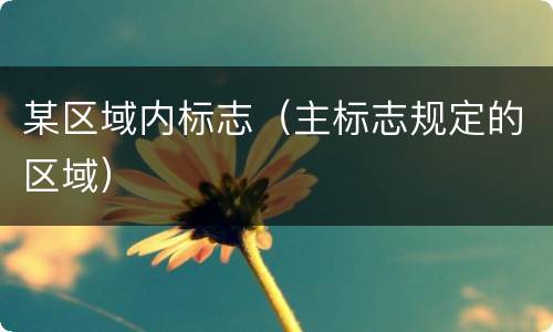 某区域内标志（主标志规定的区域）
