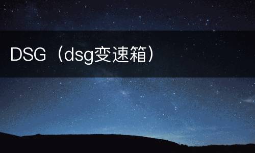 DSG（dsg变速箱）