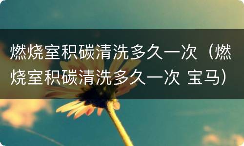 燃烧室积碳清洗多久一次（燃烧室积碳清洗多久一次 宝马）