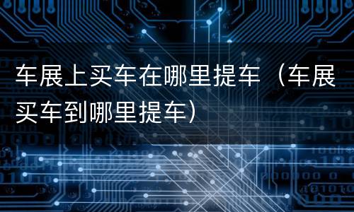 车展上买车在哪里提车（车展买车到哪里提车）