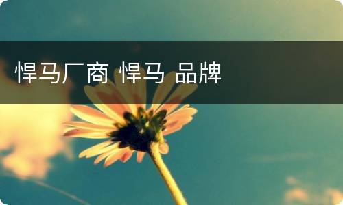 悍马厂商 悍马 品牌