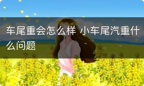 车尾重会怎么样 小车尾汽重什么问题