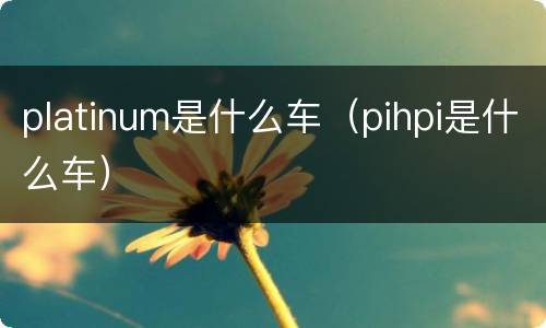 platinum是什么车（pihpi是什么车）