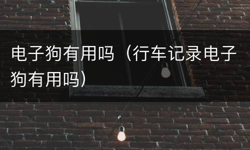 电子狗有用吗（行车记录电子狗有用吗）