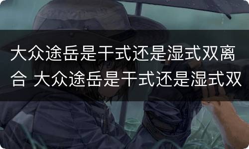 大众途岳是干式还是湿式双离合 大众途岳是干式还是湿式双离合的