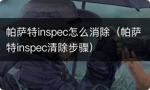 帕萨特inspec怎么消除（帕萨特inspec清除步骤）