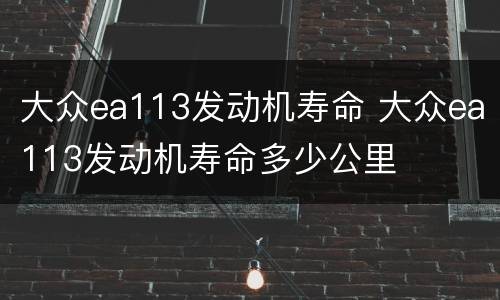 大众ea113发动机寿命 大众ea113发动机寿命多少公里