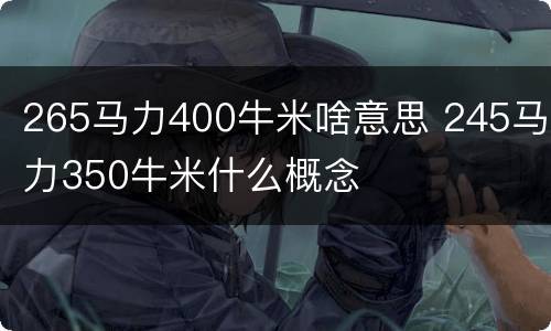 265马力400牛米啥意思 245马力350牛米什么概念