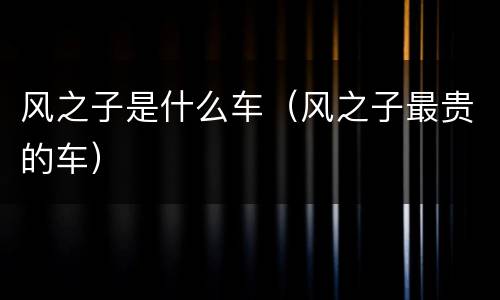 风之子是什么车（风之子最贵的车）