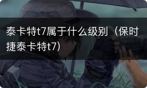 泰卡特t7属于什么级别（保时捷泰卡特t7）