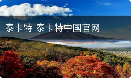 泰卡特 泰卡特中国官网