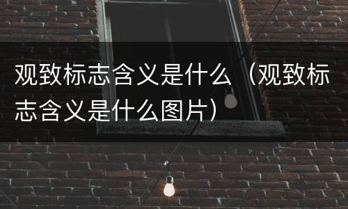 观致标志含义是什么（观致标志含义是什么图片）