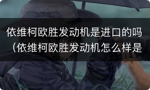 依维柯欧胜发动机是进口的吗（依维柯欧胜发动机怎么样是进口的吗）
