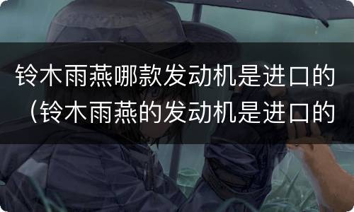 铃木雨燕哪款发动机是进口的（铃木雨燕的发动机是进口的吗）
