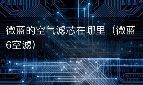 微蓝的空气滤芯在哪里（微蓝6空滤）
