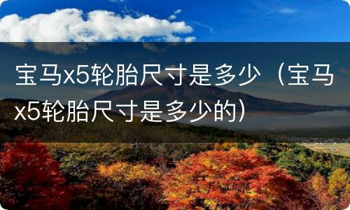 宝马x5轮胎尺寸是多少（宝马x5轮胎尺寸是多少的）