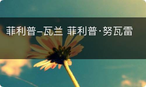 菲利普-瓦兰 菲利普·努瓦雷