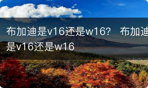 布加迪是v16还是w16？ 布加迪是v16还是w16