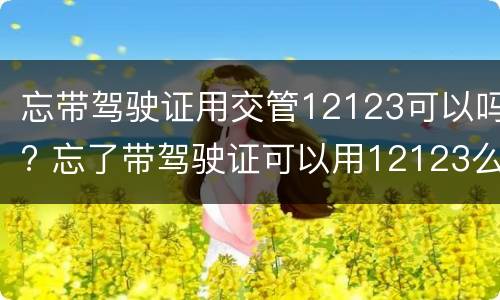 忘带驾驶证用交管12123可以吗? 忘了带驾驶证可以用12123么
