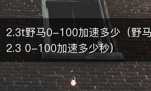2.3t野马0-100加速多少（野马2.3 0-100加速多少秒）