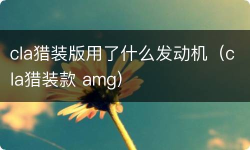 cla猎装版用了什么发动机（cla猎装款 amg）