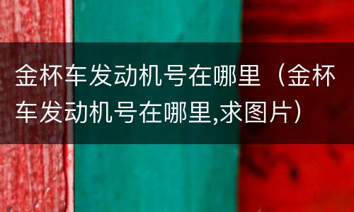 金杯车发动机号在哪里（金杯车发动机号在哪里,求图片）