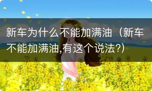 新车为什么不能加满油（新车不能加满油,有这个说法?）