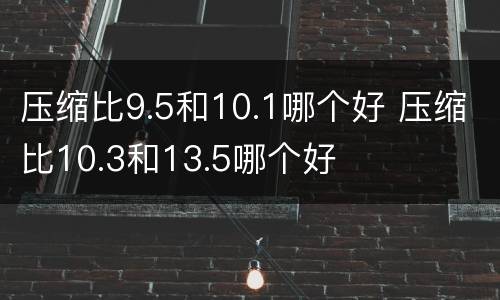 压缩比9.5和10.1哪个好 压缩比10.3和13.5哪个好